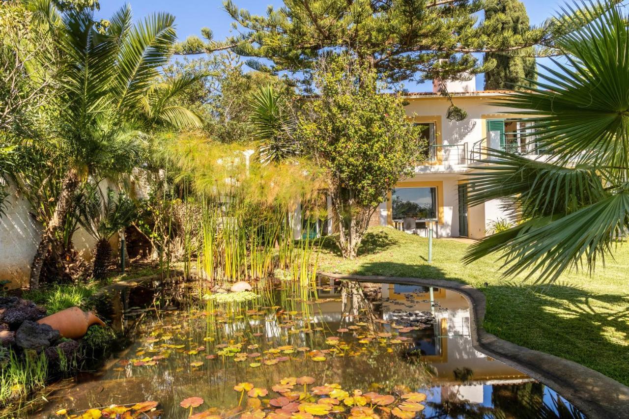 Villa Echium T1 Caniço Kültér fotó
