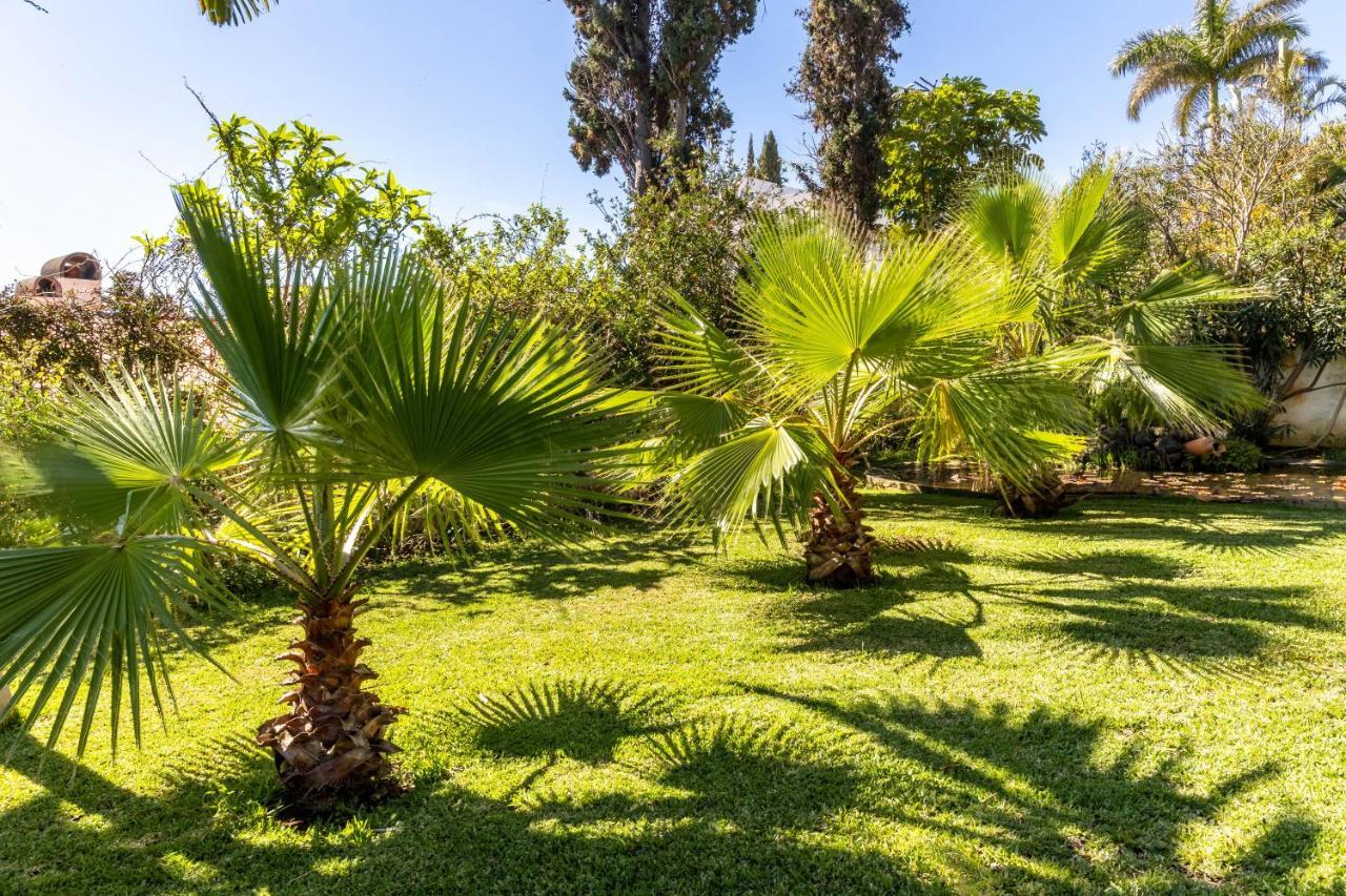 Villa Echium T1 Caniço Kültér fotó