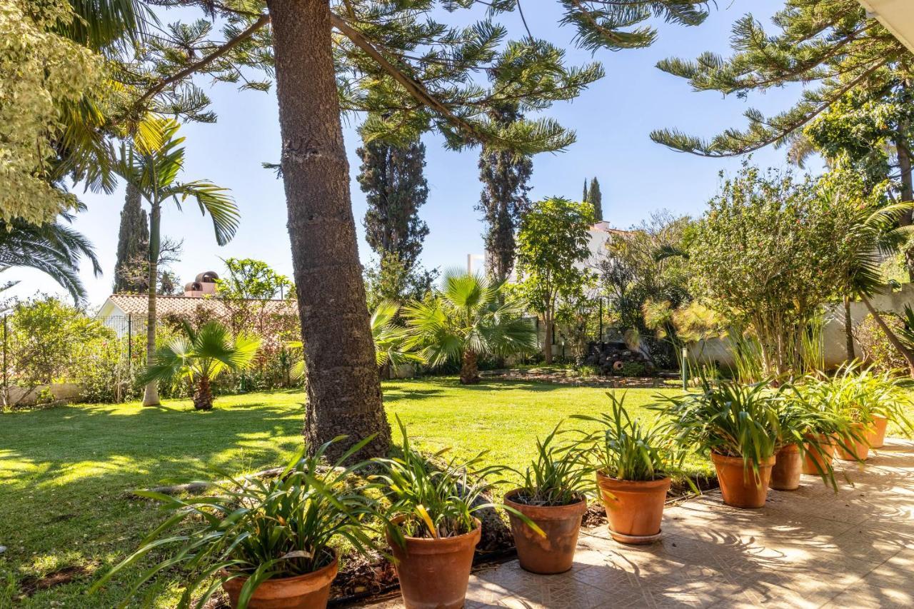 Villa Echium T1 Caniço Kültér fotó